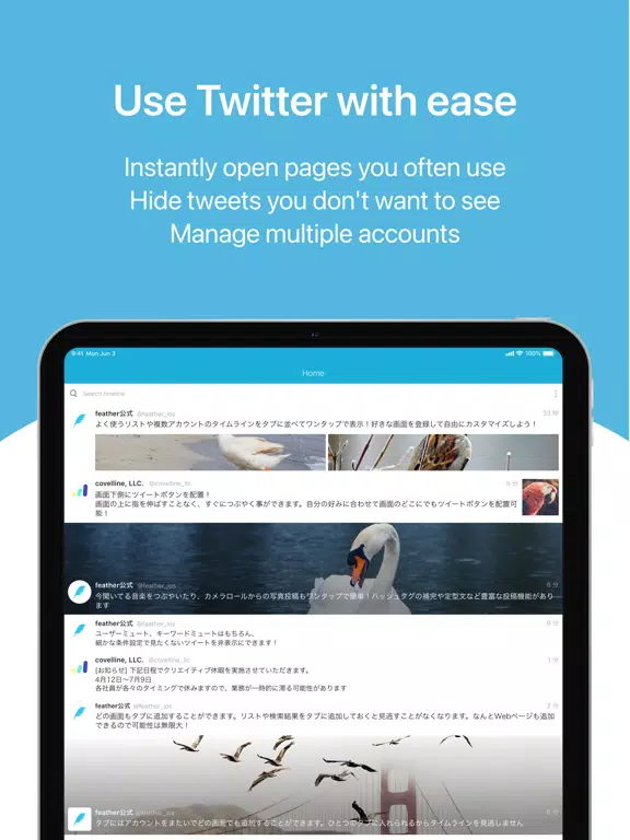 feather lite for Twitter iPad  স্ক্রিনশট