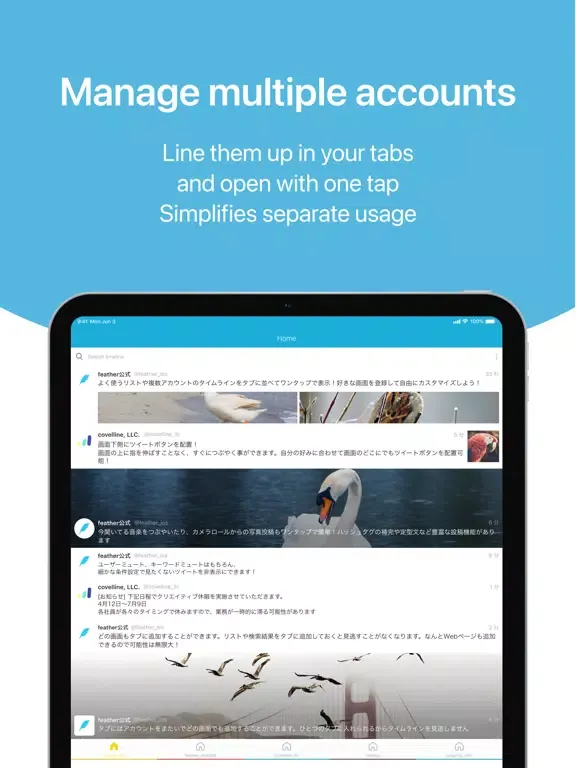 Screenshot di feather lite for Twitter iPad 