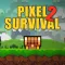 Pixel Survival Game 2