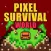 Pixel Survival World - Online