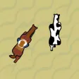Cowboy Roundup