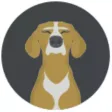 Veterinary Technician Navle Review