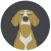 Veterinary Technician Navle Review