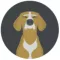 Veterinary Technician Navle Review