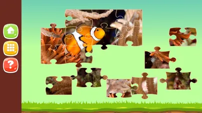 Animal Photo Jigsaw Puzzle Games HD سکرین شاٹس