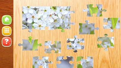 Flower Jigsaw Puzzle HD - New Jigsaw Games for Kids and Adults Screenshots