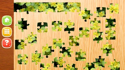 Flower Jigsaw Puzzle HD - New Jigsaw Games for Kids and Adults Screenshots
