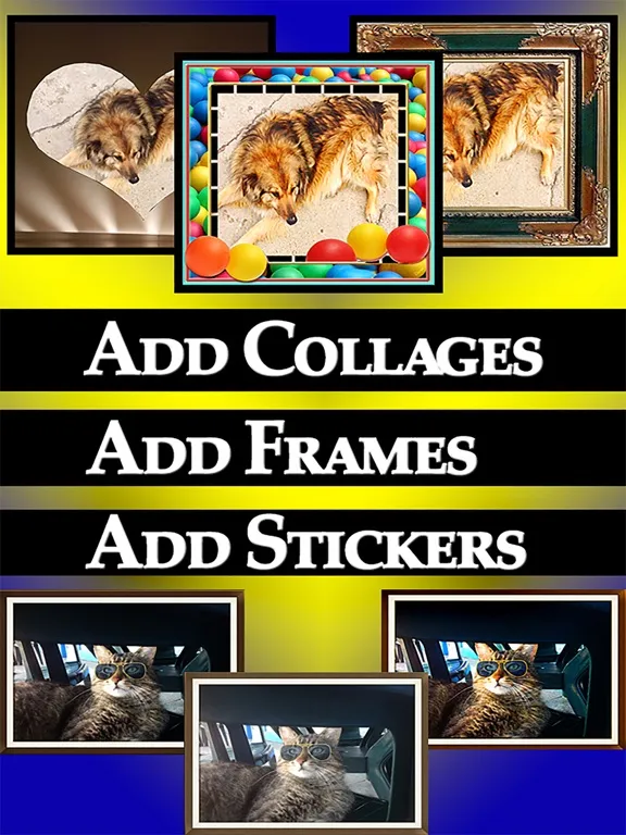 cPhoto Maker: Photo Collage + Picture Editor iPad  Screenshots