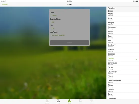Screenshot di NSTracker iPad 