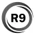 R9 Companion