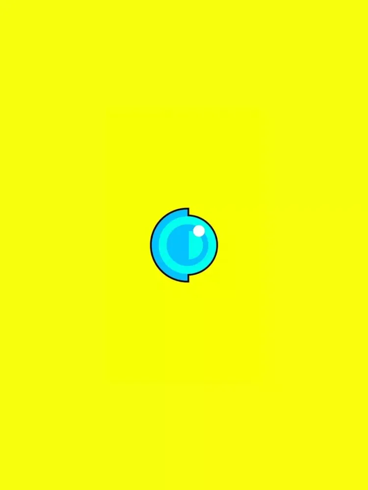 Tangkapan skrin Cam & Draw - camera drawing iPad 