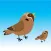 Bird Rescue Game