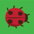 Catch Bugs Game