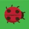 Catch Bugs Game