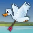 Duck Bow Hunt Duck Bow Hunt