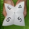 Cootie Catchers