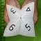 Cootie Catcher Game