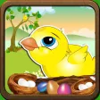 The Sky Is Falling - Story Of Little Chicken The Sky Is Falling - Story Of Little Chicken