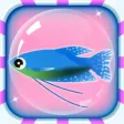 CrazFish