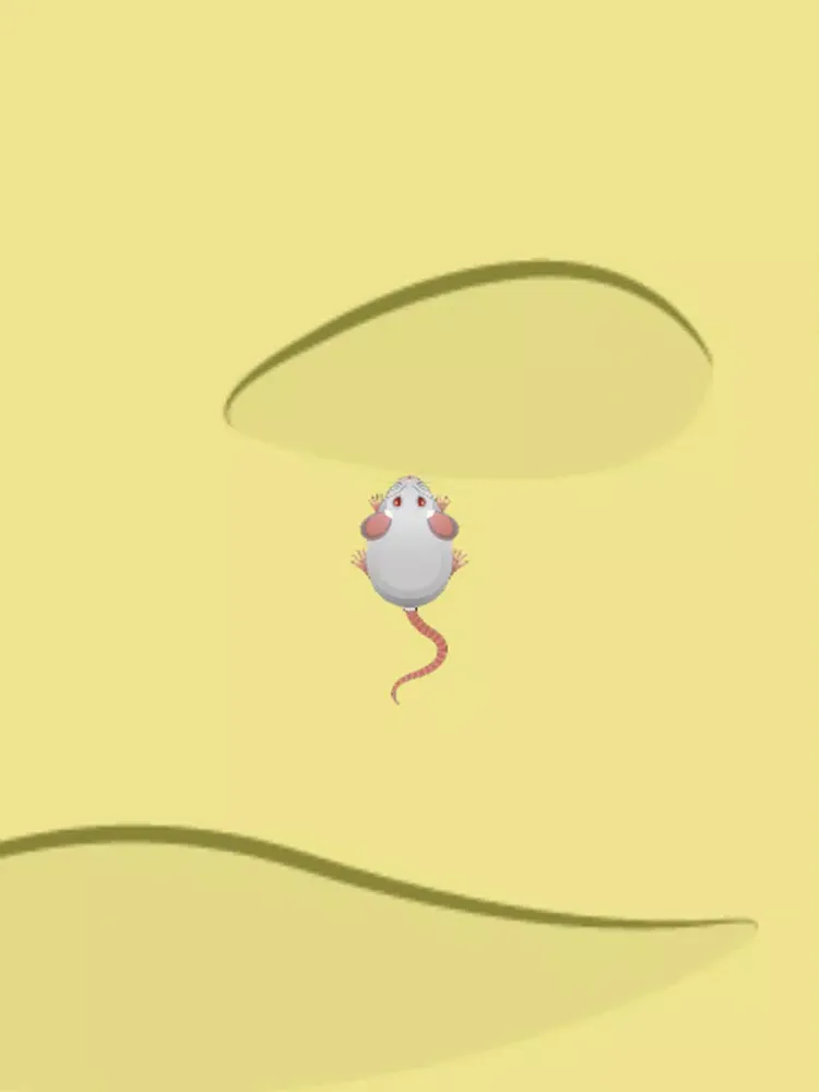 Crazy Cat and Mouse iPad  স্ক্রিনশট