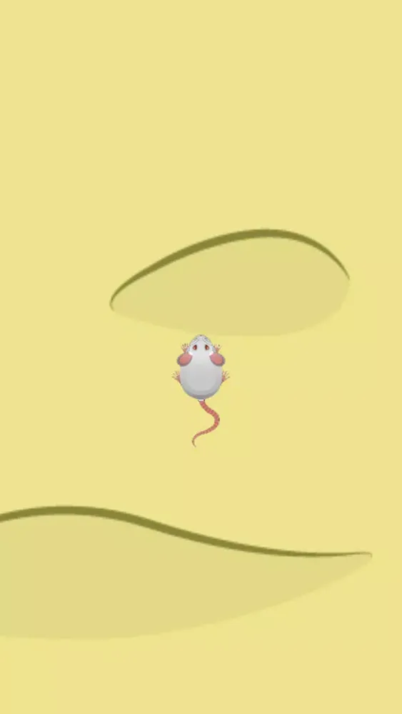 Crazy Cat and Mouse স্ক্রিনশট