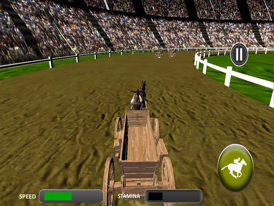 Crazy Horse Cart Race iPad  स्क्रीनशॉट