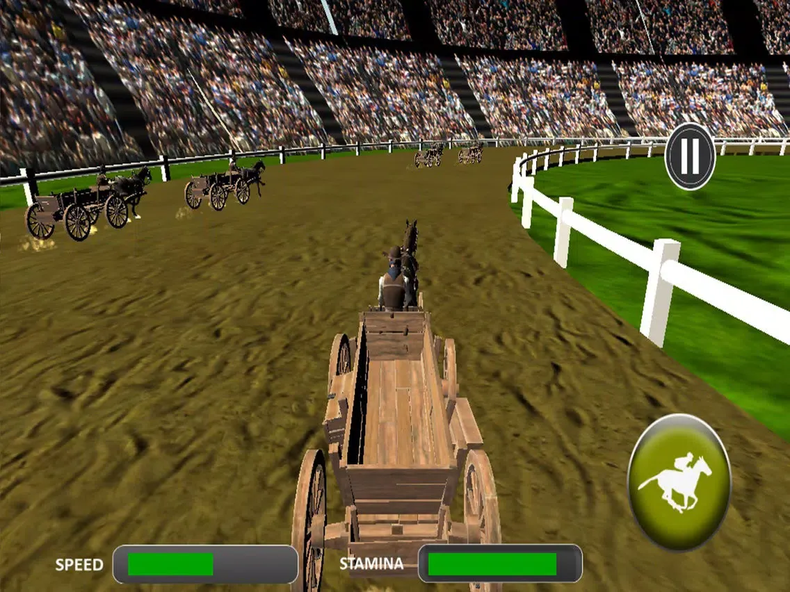 Crazy Horse Cart Race iPad  स्क्रीनशॉट