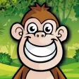 Crazy Jungle Crazy Jungle