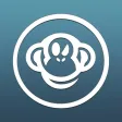Crazy Monkey Twin Cities Crazy Monkey Twin Cities
