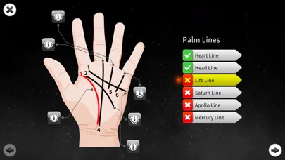 Palm Reading Premium应用截图
