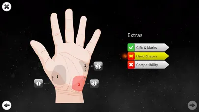 Palm Reading Premium应用截图