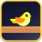 Birdies go home