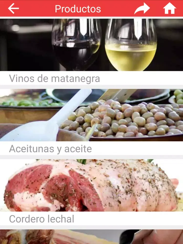 Скриншоты Puebla de Sancho Perez iPad 