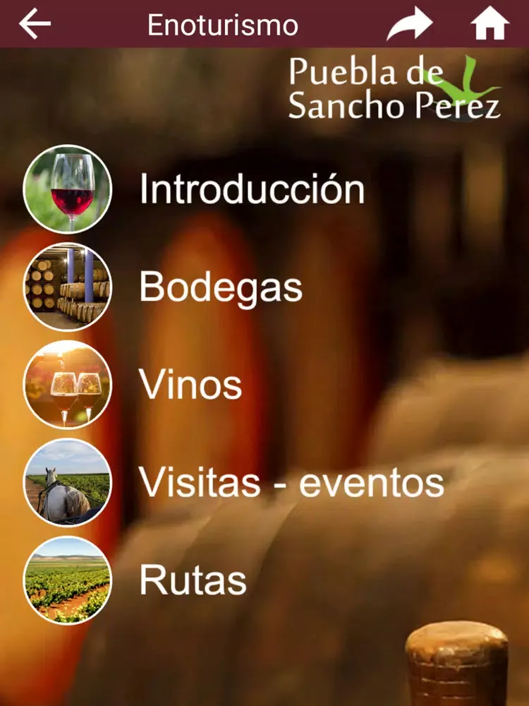 Скриншоты Puebla de Sancho Perez iPad 
