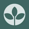 My Plan to Flourish My Plan to Flourish