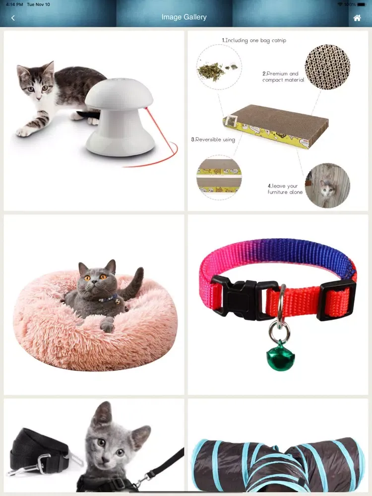 Ollie Cat Shop iPad  Screenshots