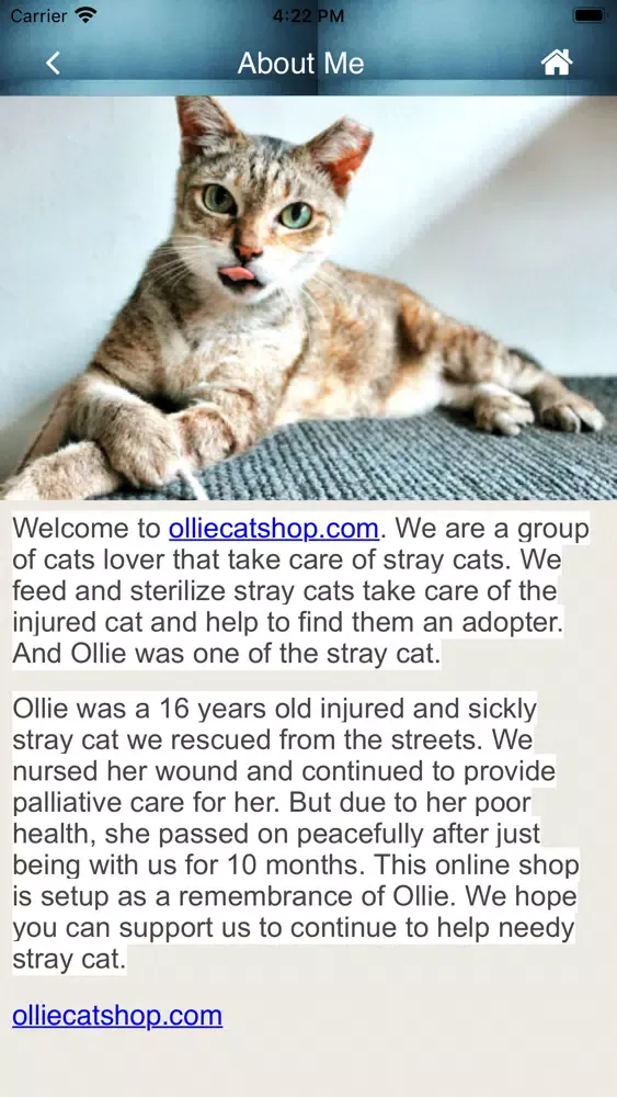 Ollie Cat Shop Screenshots