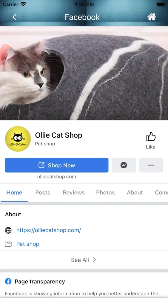 Ollie Cat Shop Screenshots