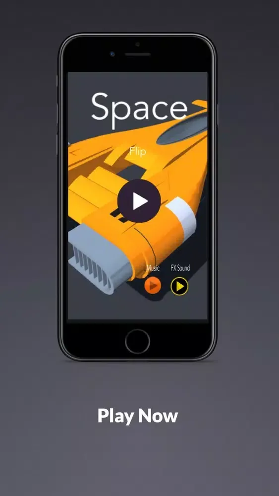 صور SpaceFlip X