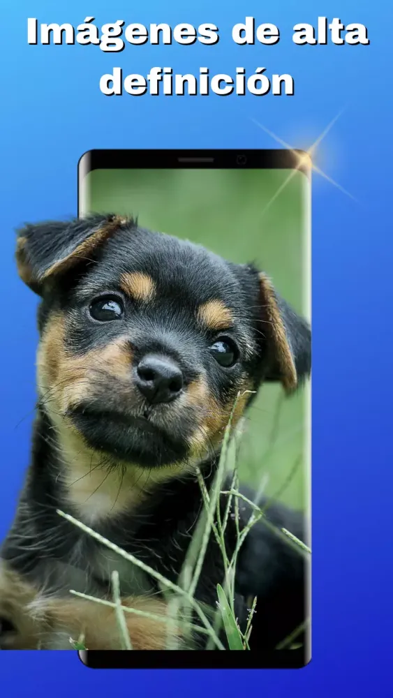Fondos de Pantalla Bonitos应用截图