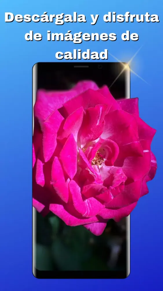 Fondos de Pantalla Bonitos应用截图
