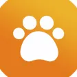 Paws Connect & Collect em All