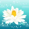 Rise Up - Float Higher Rise Up - Float Higher