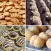 حلويات و كيكات سهلة 2024