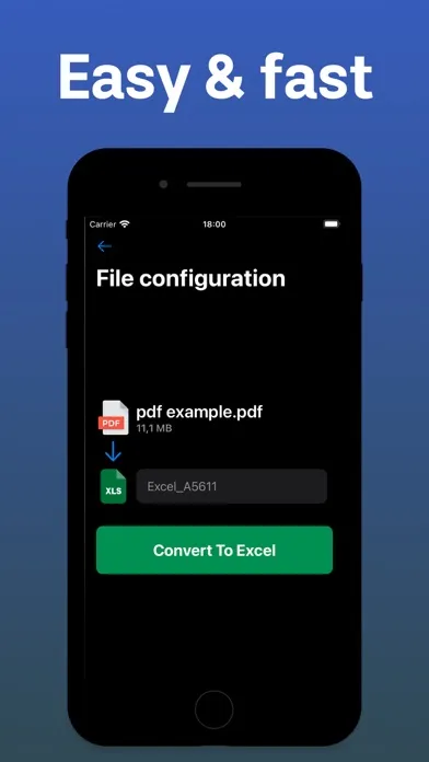 Convert PDF to Excel (xlsx) Screenshots