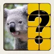 Guess The Picture : Puzzle Guess The Picture : Puzzle