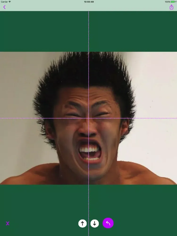 Photo mirror+ iPad 应用截图