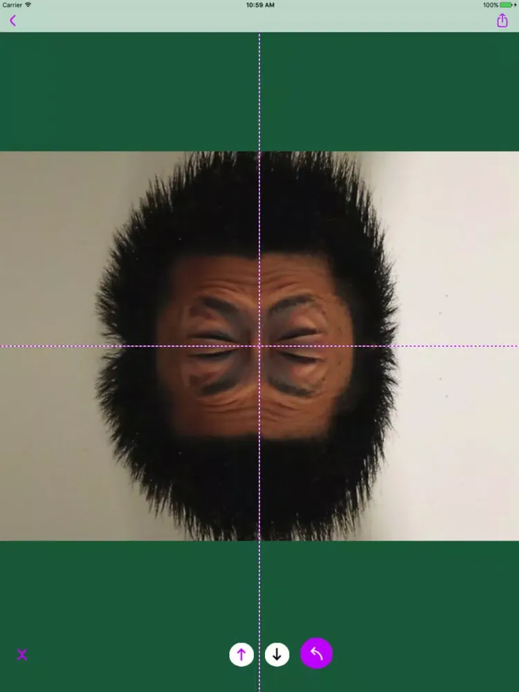 Photo mirror+ iPad 应用截图