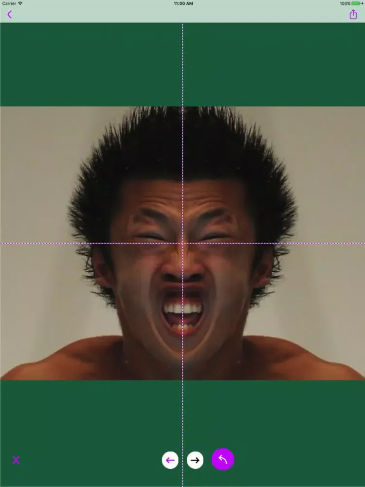Photo mirror+ iPad 应用截图