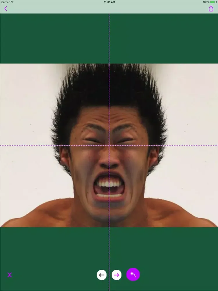 Photo mirror+ iPad 应用截图